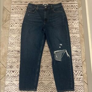 Abercrombie & Fitch Curve Love High Rise Jeans size 10/28 distressed